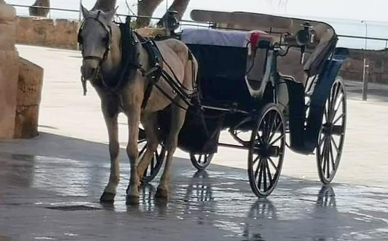 71733