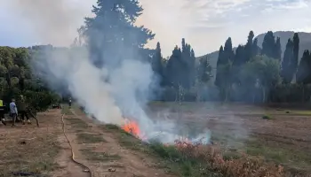 Els Bombers extingeixen el foc en un arbre que cremava dins una finca de Sóller
