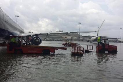 Fotografia d'Ivan Campo.