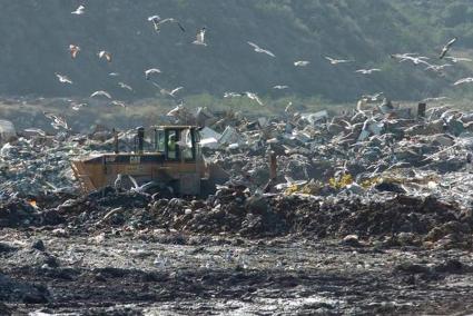 Greenpeace celebra la paralització de nous contractes d'importació de residus de fora de les Balears