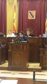 El diputat de Podem, Carlos Saura, durant la sessió parlamentaria d'aquest dimarts.