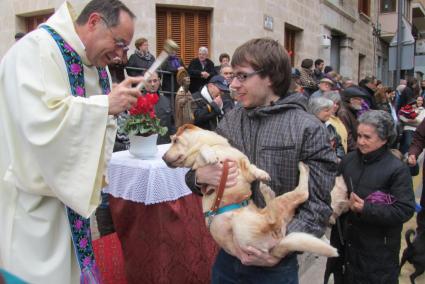 No tots els animals es prestaren de bona gana a rebre l'aigua beneïda.