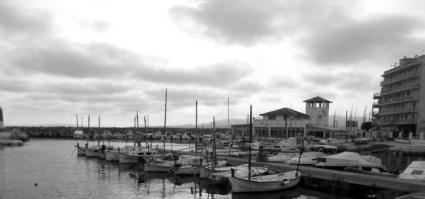 'Al Molinar, Port Petit' ha volgut agrair el suport i la col·laboració dels milers de ciutadans que han participat en la campanya.