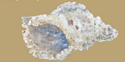 'El regne enmig del mar' s'estrenà el passat desembre. 