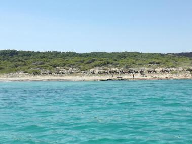 El GOB ha criticat els projectes d'Alta tensió prevists a Artà.