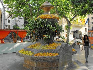 Jornades de la taronja