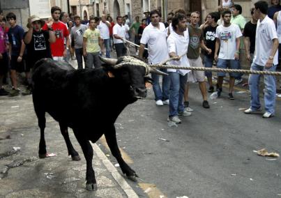 FORNALUTX. FIESTAS PUEBLOS. FORNALUTX VIVIO UN TRAQUILO CORREBOU.
