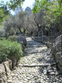 El Barranc de Biniaraix.