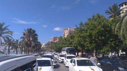 Els taxistes de Palma donen suport als companys que es manifesten a Barcelona.