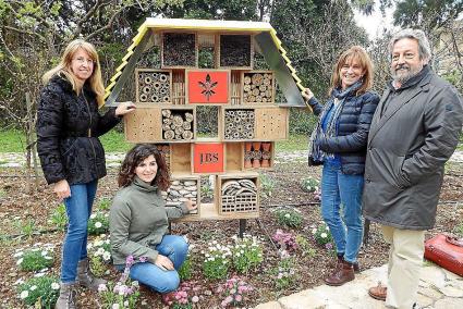 El Jardí Botànic instal·la un ‘hotel d’insectes’ per afavorir-ne la diversitat