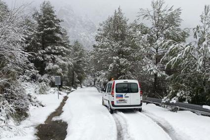 Una intensa nevada cobreix tota la Serra de Tramuntana