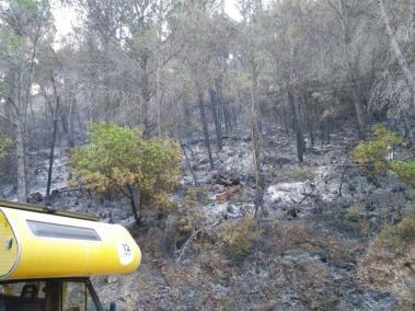 Els habitatges propers a la zona del foc van haver de ser desallotjats.