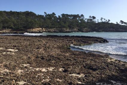 Cala Mondragó ha estat un dels indrets més afectats.