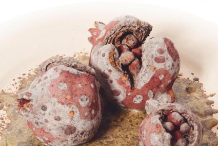 Imatge de la portada del nou disc de Biel Majoral, 'Arasíquesí...'.