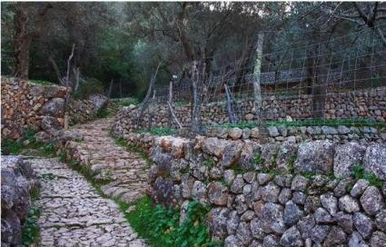 El Consell pretén reconèixer «la tasca dels nostres avantpassats per conservar i transmetre tota la cultura de la pedra en sec».