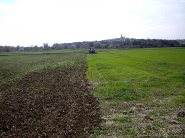 El FOGAIBA ha executat aquesta setmana el pagament de 5.327.993,47 euros de sis ajudes del Programa de Desenvolupament Rural.