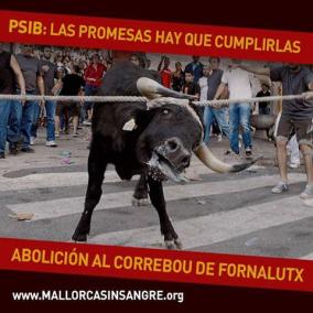 Les entitats animalistes, decebudes amb el Govern