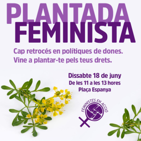 Feministes en Acció convoca una concentració reivindicativa
