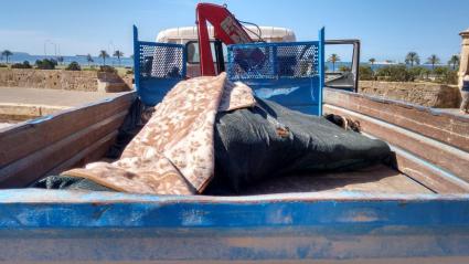 Mor un cavall d'una galera de Palma