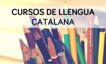 L'IEB adapta a l'aprenentatge virtual els cursos d'estiu de català dels nivells A1, A2 i B2.