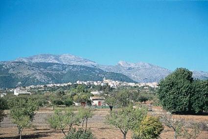 Incendi de superfície agrícola a Campanet 