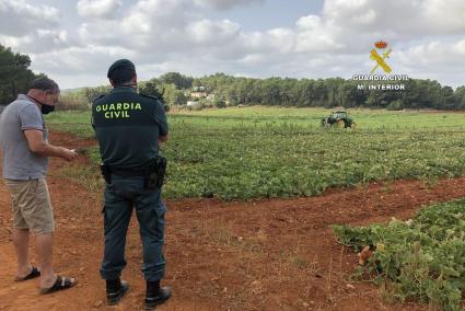 La Guàrdia Civil ha detingut a dues persones a Mallorca per robatori de garroves.