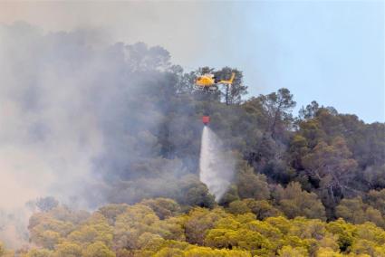 Els serveis d'emergències han controlat l'incendi forestal d'Eivissa.