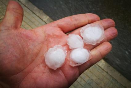 El calabruix, en alguns casos, pareixia una pilota de golf.