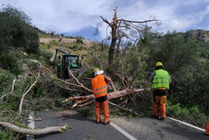 Els operaris de l'Ibanat treballen per restablir les carreteres.