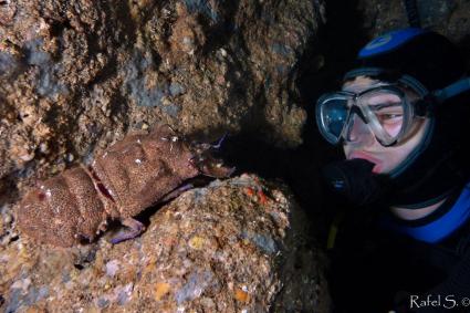 La reserva marina de s’Illeta, un projecte pendent