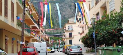 Més de 80 participants a la Rua virtual