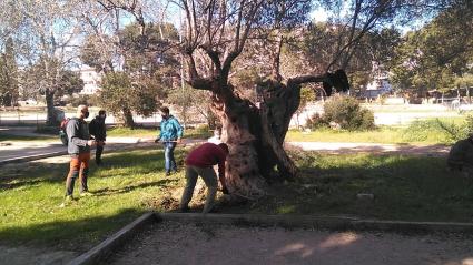 L’Ajuntament estudia ara fer un aparcament soterrat a l’Infante Lois
