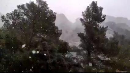 Primer flocs de neu a la Serra. Miquel Salamanca