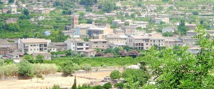 SOLLER - VISTA GENERAL DE L'HORTA