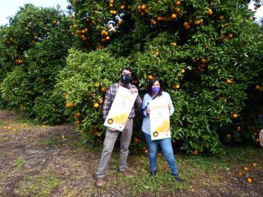 La finca de Can Det a Biniaraix acollí la presentació de les Jornades de la Taronja d’enguany.