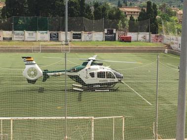 Mor un home al caure d'un pi a Sóller