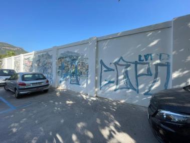 Els murals de natalia Spitale han quedat pintats per grafits.