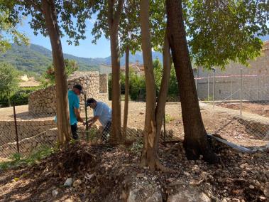 Llestes les actuacions al jardí de Sa Calatrava