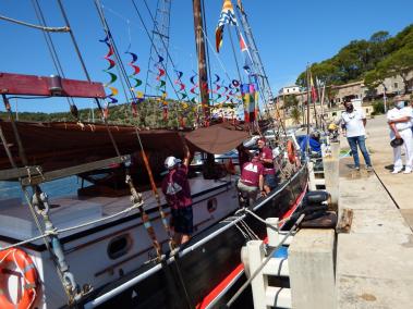 Les embarcacions de vela llatina omplen el Port
