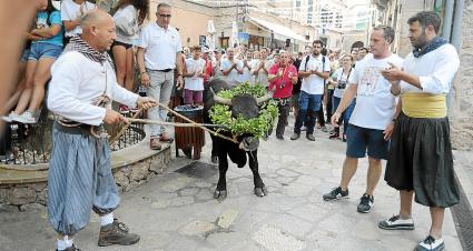 La davallada del bou de l’any 2019, l’última vegada que se celebraren les festes abans de la pandèmia.