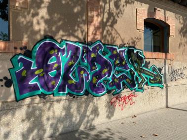 PALMA. GRAFFITIS. Imputado el autor del grafiti de la estación del Tren de Sóller.