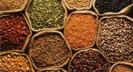 Sus a la campanya extraordinària de llavor certificada.