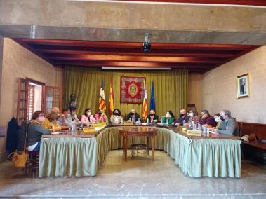 El ple extraordinari se celebrà ahir a la Sala Magna.