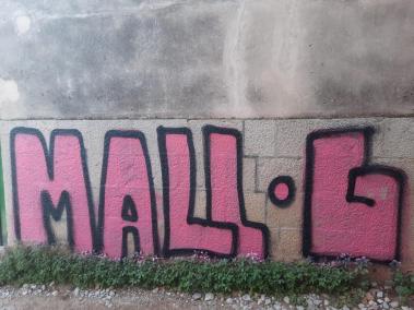 Veïnats del camí de can Bessó denuncien pintades a la façana d'una casa