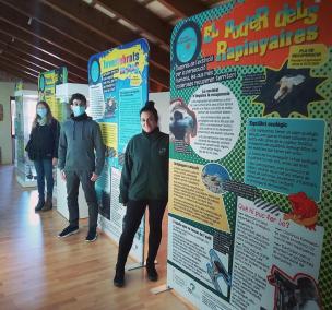 ‘Balears, natura urgent’ s’exposa el Museu de Ciències