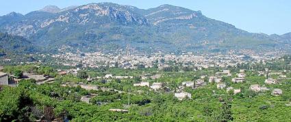 L’Ajuntament calcula que un 60% de la població resideix actualment a la zona d’Horts i Tarongers.