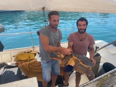 Pescadors rescaten una tortuga marina enganxada a unes xarxes