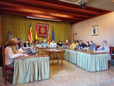 Imatge del ple celebrat avui al matí.