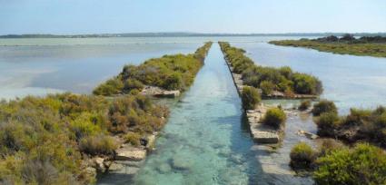 Denunciada una embarcació per navegar per damunt la posidònia del Parc Natural de Ses Salines d'Eivissa i Formentera