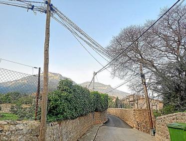 A l’alçada del Torrentó el cablejat elèctric es creua entre l’arbrat.